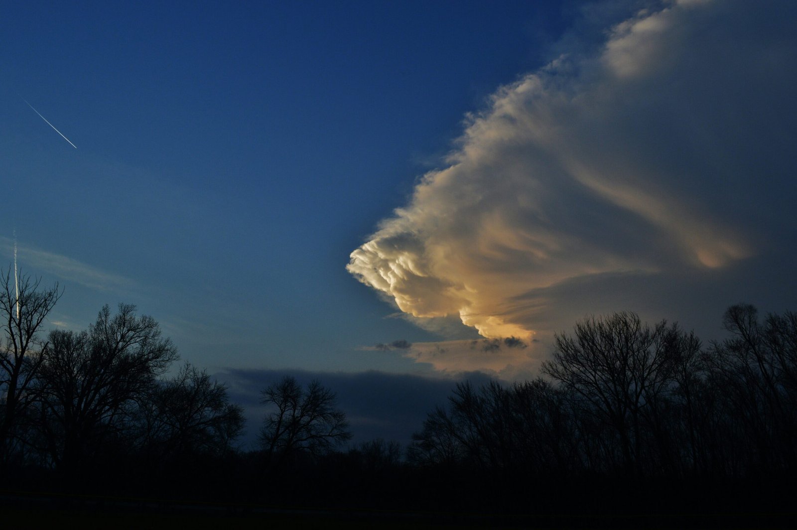 Churn Prevention: Why Chicago Residents Are Moving: The Polar Vortex Dilemma